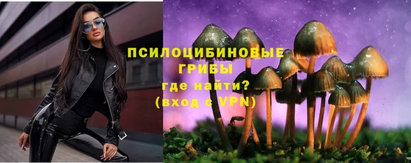 винт Алексеевка